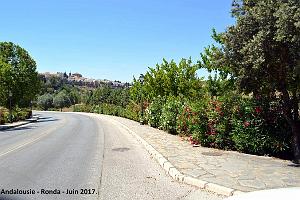 466- Ronda